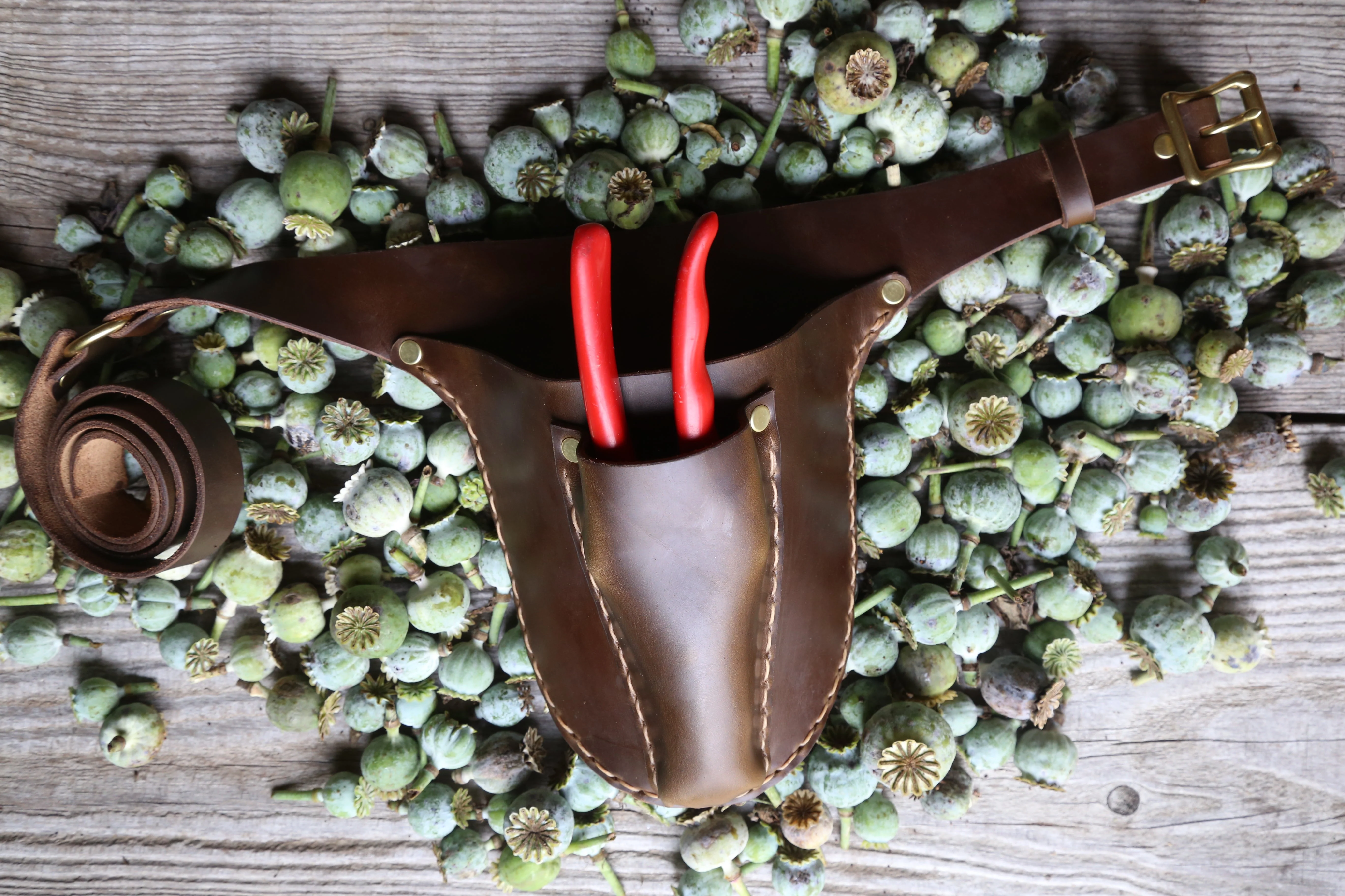 Olive Garden Tool Belt - Image 4